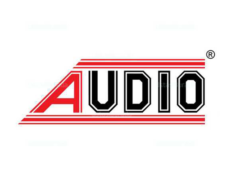 AUDIO GÖRÜNTÜLÜ DİAFONLARI